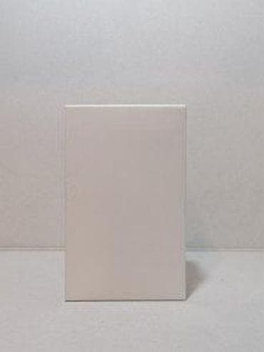 women's secret body mist: CHANEL COCO MADEMOISELLE INTENSE EDP100ML TSTR | Chanel Coco — 4
