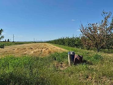 placevi na prodaju prokuplje: Na prodaju salaš – Rumski drum 69a, Sremska Mitrovica Na prodaju — 5