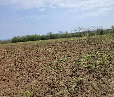 oglasi za izdavanje stanova kragujevac: Poljoprivredno zemljište – Smederevo (lokacija ucratana na mapi) - — 4