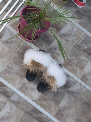 Oksfordice: Modne papuče, Aldo, 38 — 6