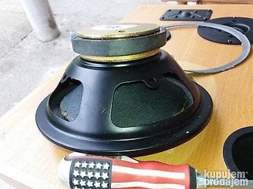 kompjuterski delovi: Peerless 8" Denmark- delovi -basovi 8 inca; 8 oma; platnene kalote=50e — 7