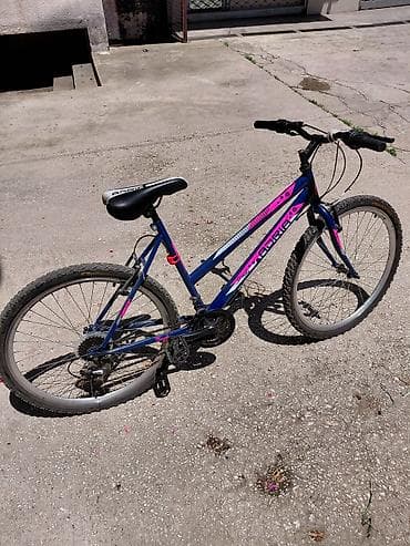 stanlio i olio: Planinski/treking bicikl Adria - Veličina točkova: 26" - Čelični ram — 1