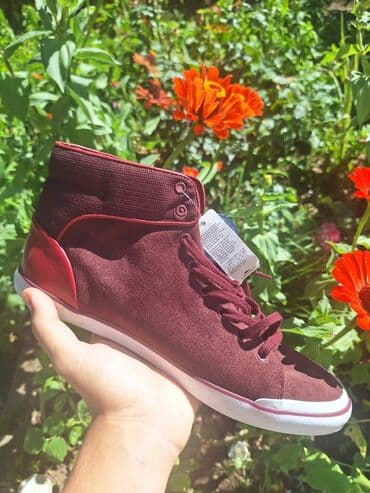 dn patike: Patike, Lacoste, veličina - 42 — 2
