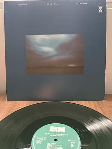 golden harry potter vt401 k: Vinyl LP ploče – izbor albuma - Kim Carnes – “Voyeur” (EMI America) - — 6