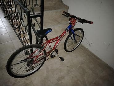 kacige i stitnici za decu: Dečiji/teen MTB bicikl NewLine Panther - Veličina točkova: 24 inča - — 10