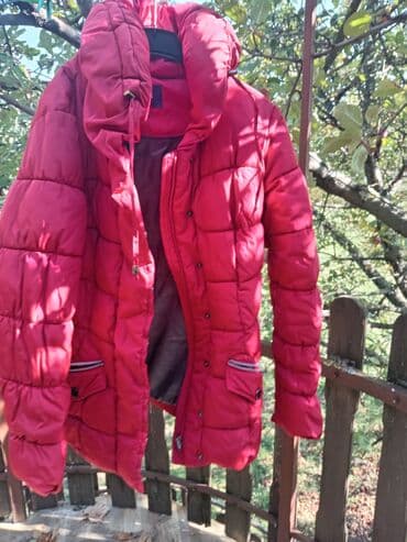 L, Single-colored, With lining