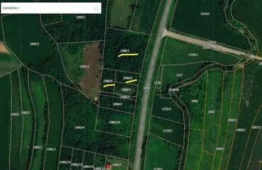 prodaja kuca sremska kamenica: Poljoprivredno zemljište — 1