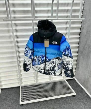 new yorker zimske jakne: Zimska jakna 2XL (EU 56), L (EU 52), M (EU 50), The North Face, bоја - Šareno — 3