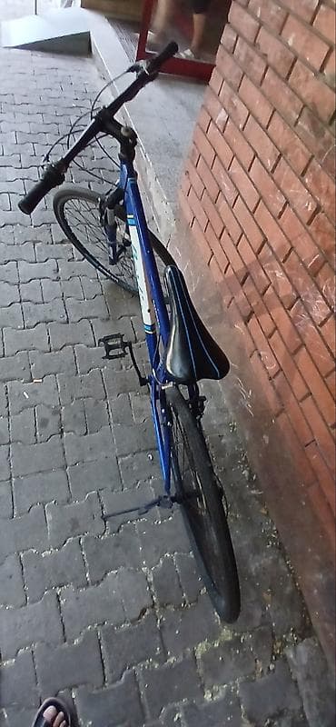 puma enzo: Gradski/treking bicikl Berlin – plavi - Veličina točkova: 28" - — 2