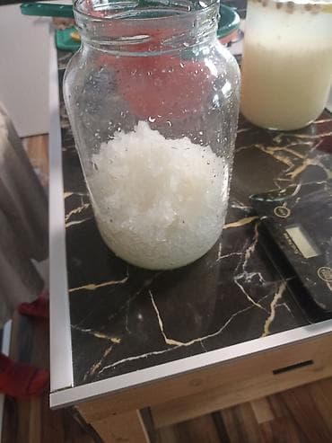 sat sa slikom po zelji: Vodom kefir – kulturi zrnaca (Tibicos) za pripremu fermentisanog — 3