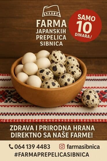deciji set sto i stolica: Sveža prepeličja jaja sa Farme Sibnica, idealna za zdravu i — 2