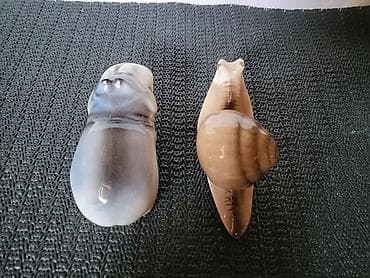 Kutije za odlaganje: Figure nove nilski konj i puz,porcelanske iz 70ih.god. Nove figure — 9