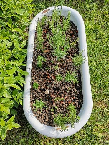 pec sa rernom na drva: Žardinjera kada retro odvod ruzmarin i lavanda hidro granule — 4