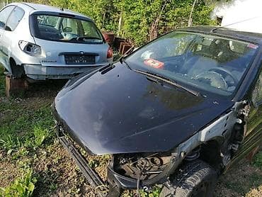 osovina auto: KOMPLET AUTO U DELOVIMA ZA PEUGEOT 206 | Delovi Peugeot 206 i otkup — 4
