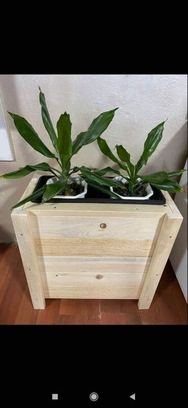 ads police: 4500rsd lakirane bezjonim lakom
4.800rsd u bojama po izboru — 4