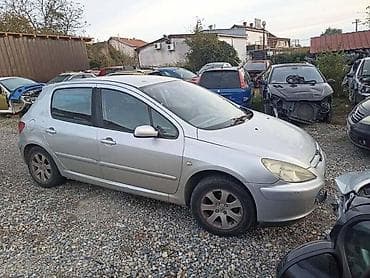 peugeot dijagnostika: VRATA ZA PEUGEOT 307 — 1