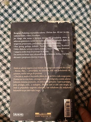 bogner beograd: Knjiga: Udovica Zevedejev – Brankica Bogdanović Ćašina - Izdavač — 3