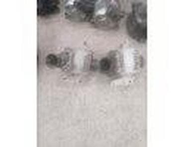 nalepnice za kola: ALTERNATOR ZA FORD MONDEO OD 2001. DO 2006. GOD. | Alternatori za — 2