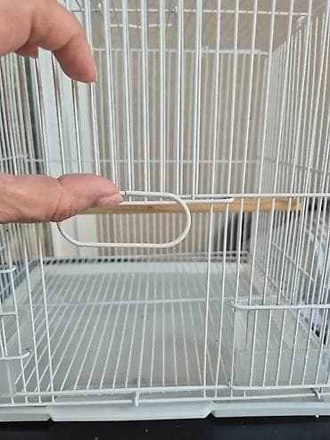 kucica za ptice od drveta: Kavez za ptice – metalni, bele boje - Materijal: čelična žica sa — 3