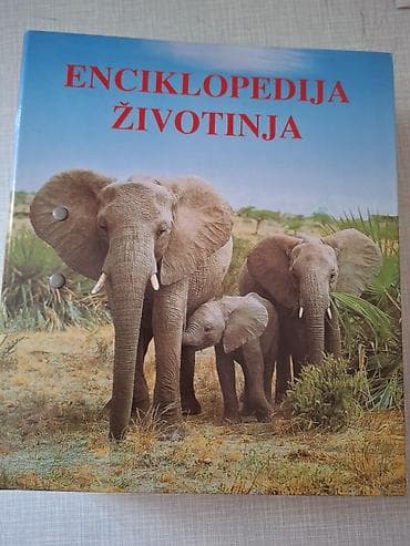 bacač diska: Kolekcija knjiga – ilustrovane enciklopedije i priručnici - Okean — 4