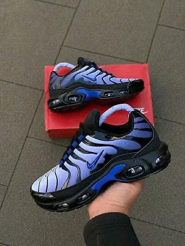 brazilke beograd: TN 
3900 din .  od 36 do 46
PK🌛 — 2