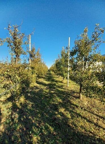 Placevi: Poljoprivredno zemljište — 14