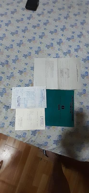 siroki lastis u boji: Olympia Monica očuvano ko novo — 3