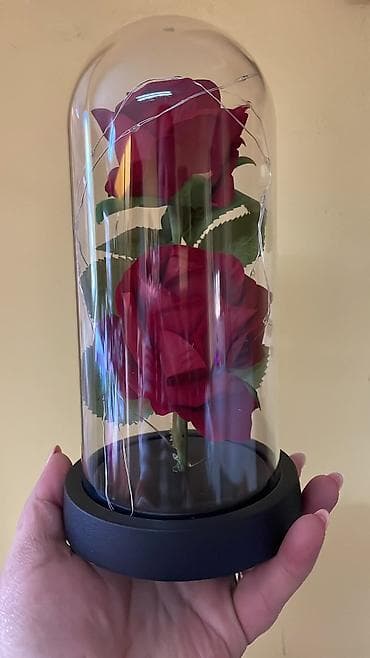 patike za tenis: Večna ruža u staklenom zvonu sa led lampicom Cena:1800din 🌹✨ ČAROBNA — 10