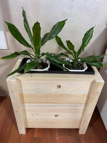 ads police: 4500rsd lakirane bezjonim lakom
4.800rsd u bojama po izboru — 1