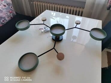 Sobne biljke: Luster, Upotrebljenо — 4