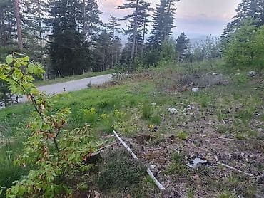 izdavanje soba ruma: Na prodaju plac 11.3 ari na Zlatiboru pored asfaltnog puta udaljenosti — 5