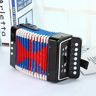 vtech igracke: Cena 2350 din Akusticna harmonika za male muzičare. Harmonika igračka — 6