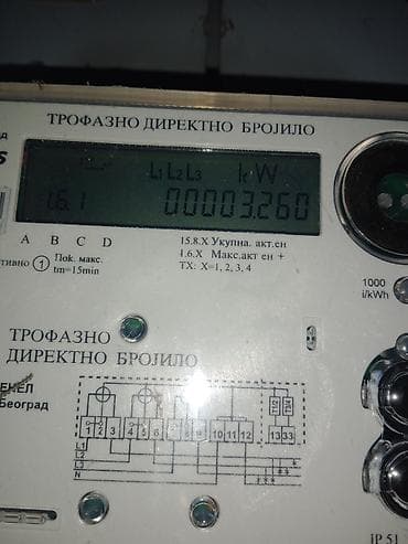 psi poklon: Pomeranac (Spitz) – prelep, kompaktan ljubimac - Rasa: patuljasti — 4