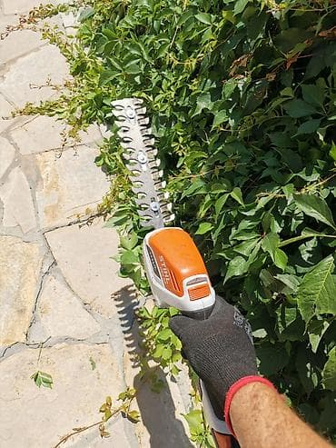 mega maxi basta: Šišanje žive ograde

Usluga




samo fotke i dogovor na viber — 2