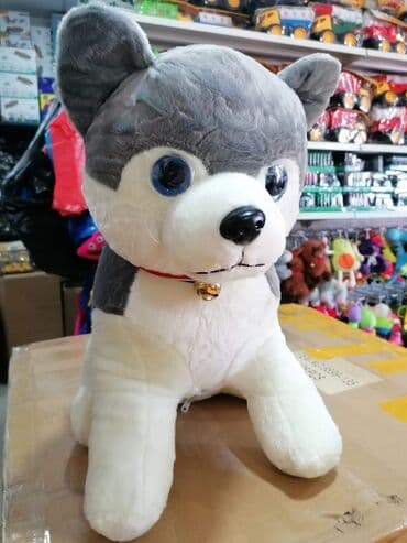 kuća za lutke: Velike kuce
60cm
Cena : 3300 din — 4