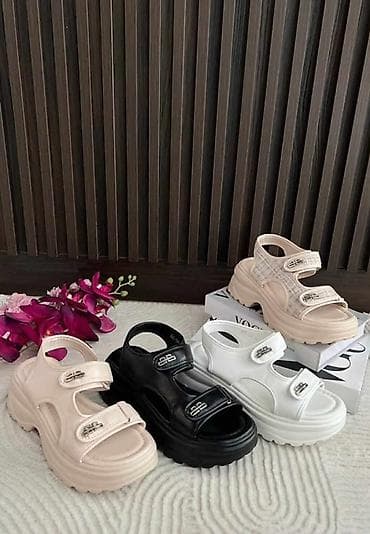 ccc sandale lasocki: Brojevi
36-41
2600 din
OR💥 — 1