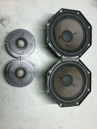 Headphones: Philips 16,5cm i visoki 1 i 2 -philips 16,5cm;4 oma; magnet 9,3cm; ful — 7