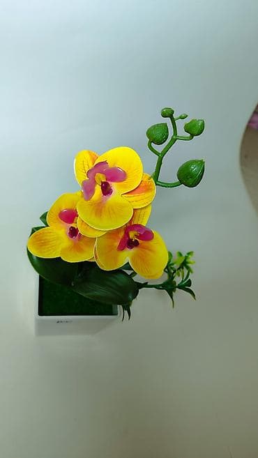 komode za spavaću sobu: Dekorativna veštačka orhideja u saksiji - Realistična žuta orhideja — 5