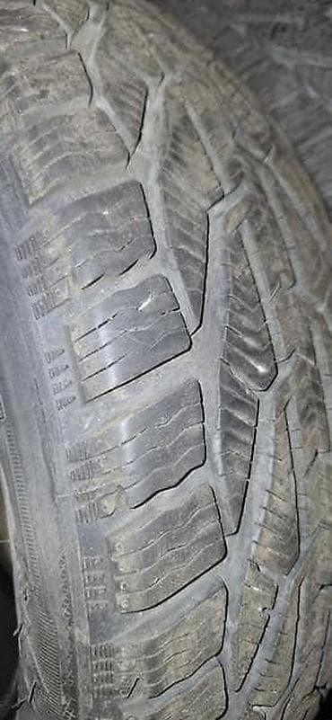 mini 1661: TIGAR 205/60 R16 ZIMSKA | 4 tigar gume vozene 1 sezonu i stoje.Vozim — 2
