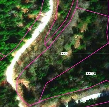 Houses: 52 ares, Owner — 8