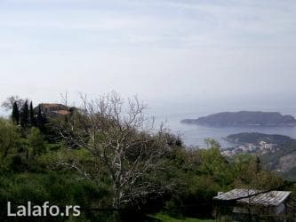 prodaja kuca zajecar: 432 ares, Građevinarstvo, Vlasnik — 8