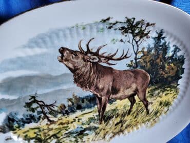 Kuhinjski setovi: Oval nov Bavaria Mittrteich porcelan iz 70ih. Nov-nigde — 4