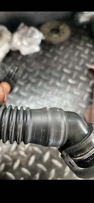 rosule ili rolsue: AUDI Q7 4M DELOVI CREVO IBERLAUFA BG | Audi q7 q5 q3 q2 A1 A3 A4 A5 — 4