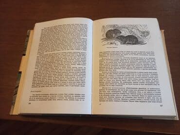 Knjige i stripovi: BREM Kako žive životinje Dobro očuvana knjiga iz 1967g. Izdavač — 8