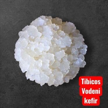 Tibicos ili zrnca za vodeni kefir, za pravljenje probiptskog napitka