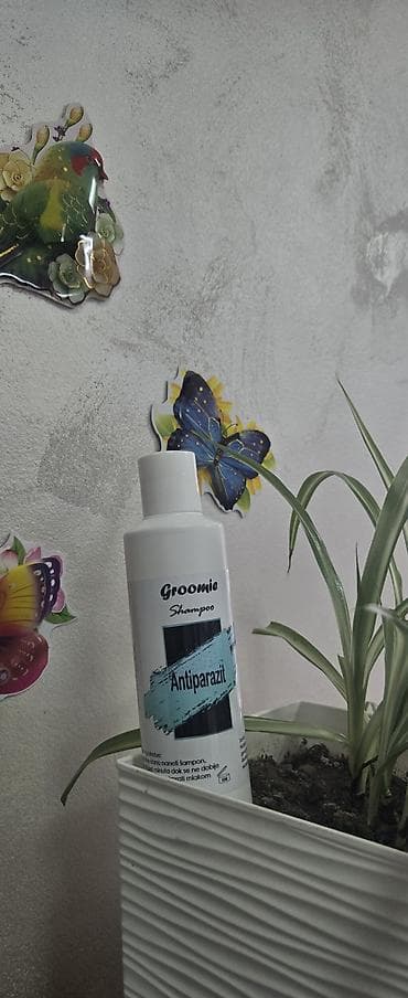 kavezi za papagaje: Pet shop Maza & Nera – sve za pse i mačke na jednom mestu - Širok — 6