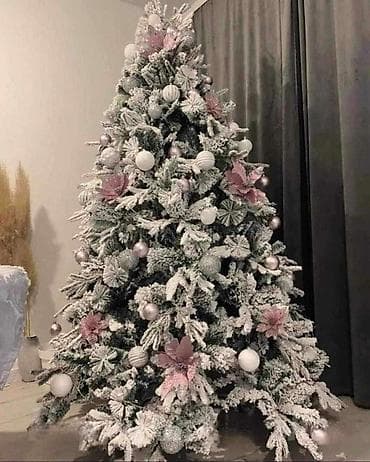 Novogodisnja snega Bor jelka NOVO! Dimenzije visine jelke: Jelka na lalafo.rs Novogodisnja snega Bor jelka NOVO! Dimenzije visine jelke: Jelka