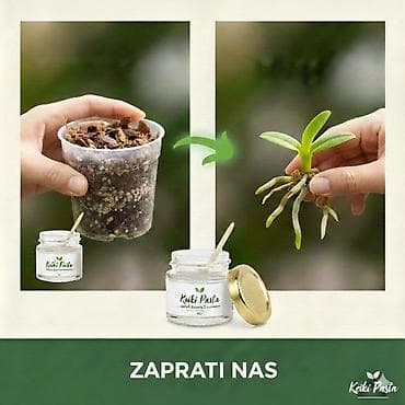 privesci za samoodbranu: Keiki pasta za razmnozavanje i produzetak cvetanja vaše — 3