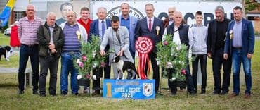 pudlice na prodaju: Boston terrier kennel Srcky's Fci 3759 osnovana 1997 oglasava za — 4