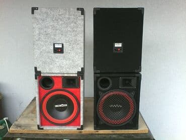 TV & Video: Mc crypt 10 inca(br.5); 300w; 4 oma; 38x30x20cm; ispravne i lepo — 3